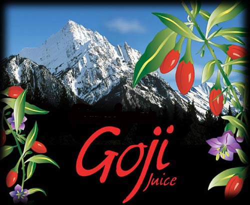 GoChi - Goji Juice Gogi Berries Himalayan Goji Berry health drink